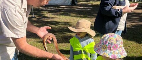 NAIDOC-Week-reptile-experience